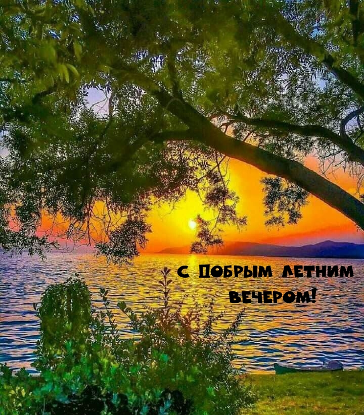 Летние картинки &amp;quot;Доброго вечера!&amp;quot; (228 шт.)